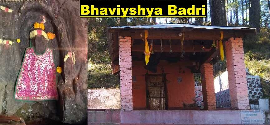 Bhaviyshya badri third panchbadri