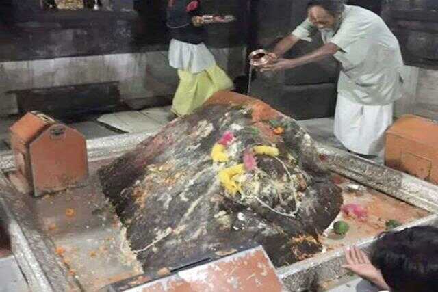 kedarnath real shivling